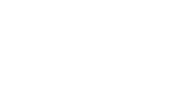 네이버페이 logo